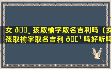 女 🌸 孩取榆字取名吉利吗（女孩取榆字取名吉利 🌹 吗好听吗）